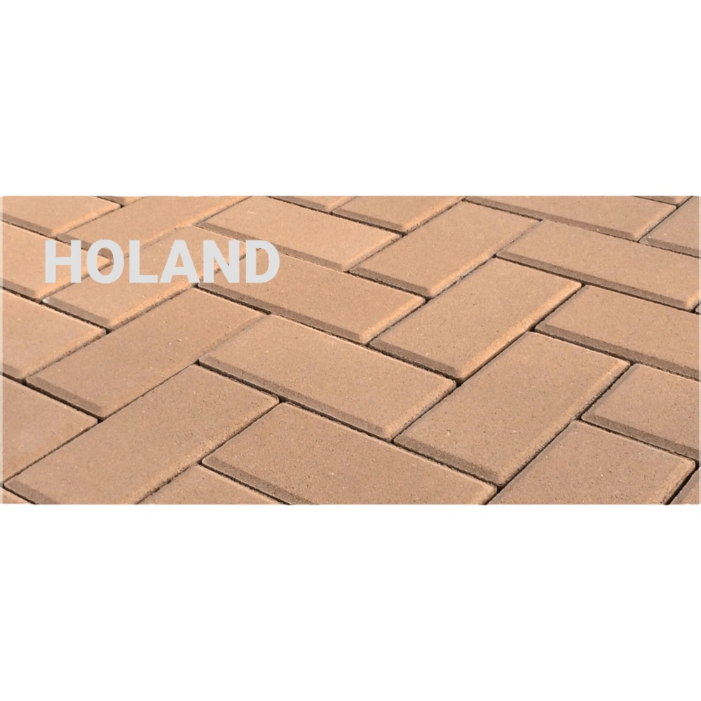 Dlažba Holand Klasik 20x10x8cm červená