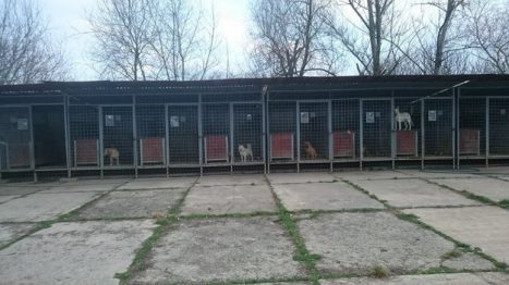 referencia-trenciansky-utulok-mplstavro-1