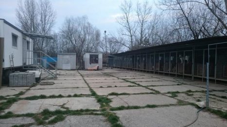 referencia-trenciansky-utulok-mplstavro-2